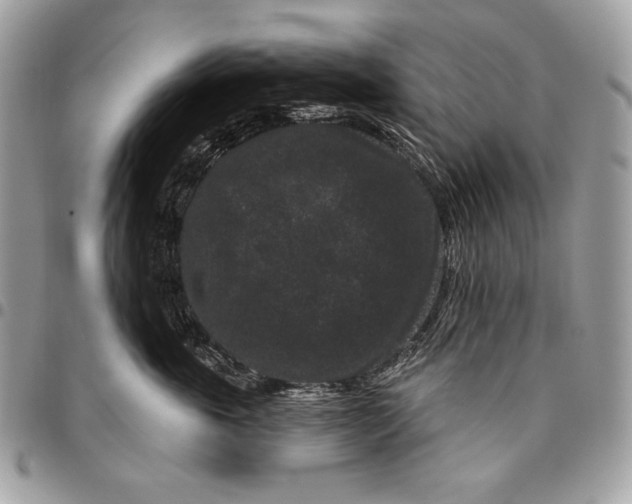 X0000096130763200802081325