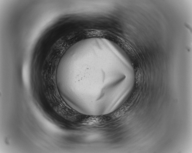 X0000096130764200802081325