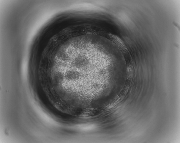X0000096130765200802081325