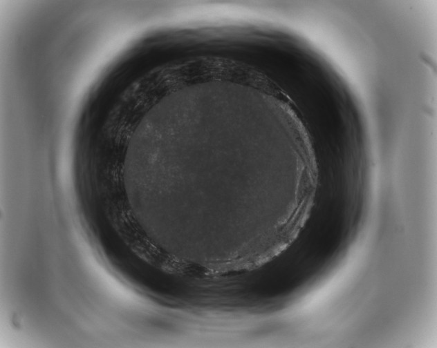 X0000096130766200802081325