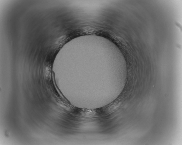 X0000096130768200802081325