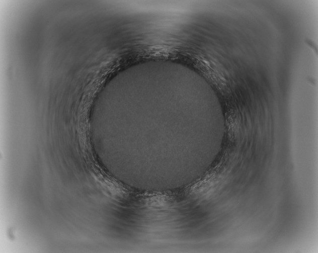 X0000096130769200802081324