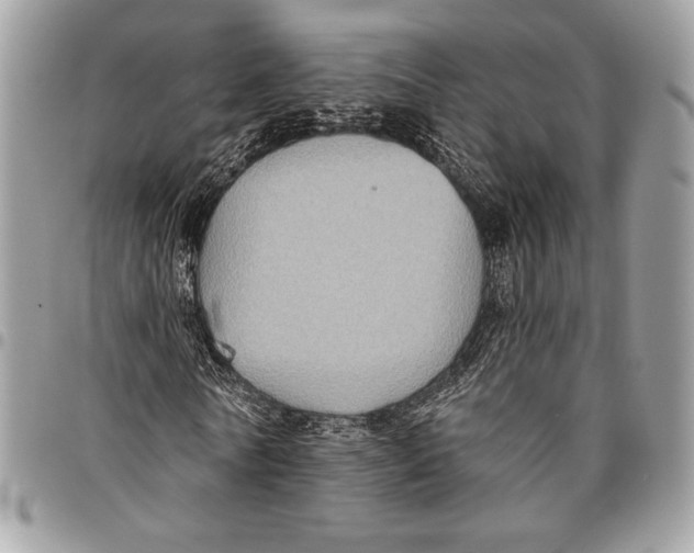 X0000096130770200802081324