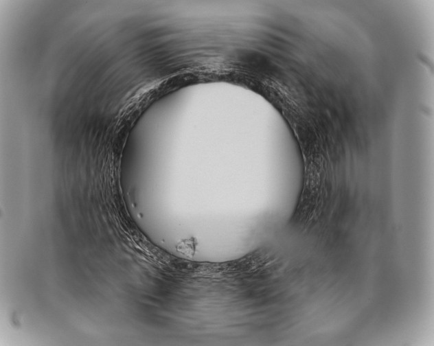 X0000096130773200802081324