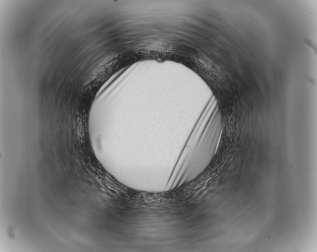 X0000096130774200802081324
