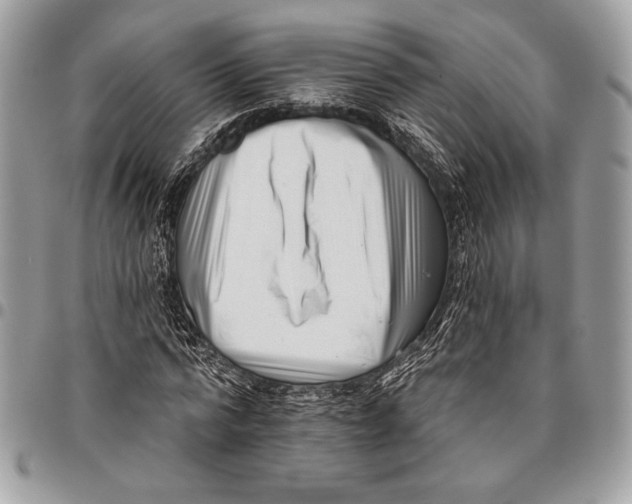 X0000096130776200802081324