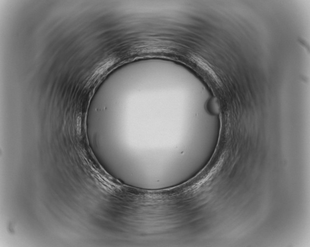 X0000096130777200802081324