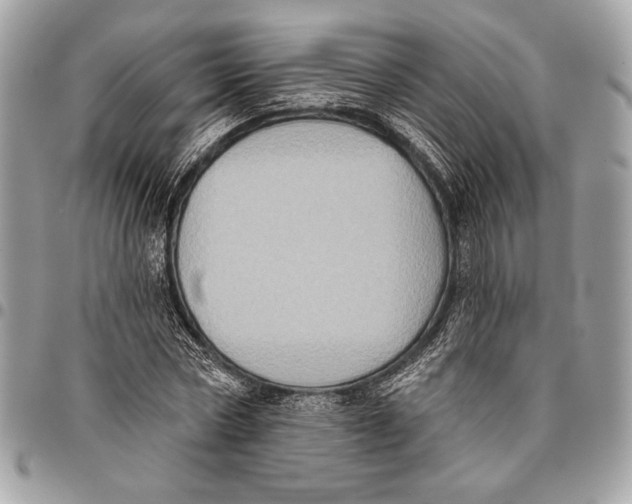 X0000096130778200802081324