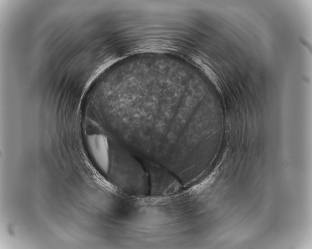 X0000096130779200802081324