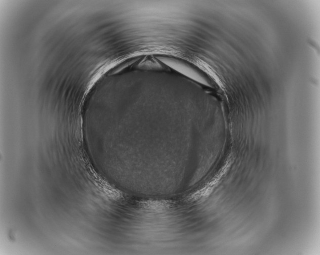 X0000096130781200802081324