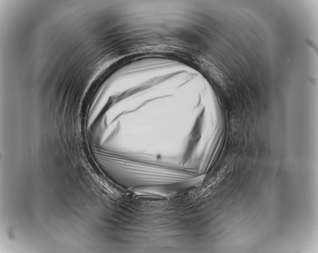 X0000096130784200802081324