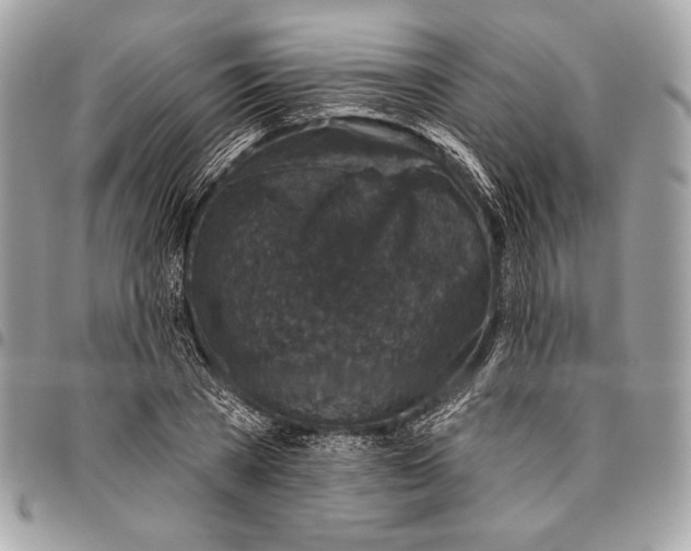 X0000096130785200802081324