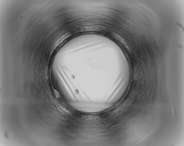 X0000096130786200802081324