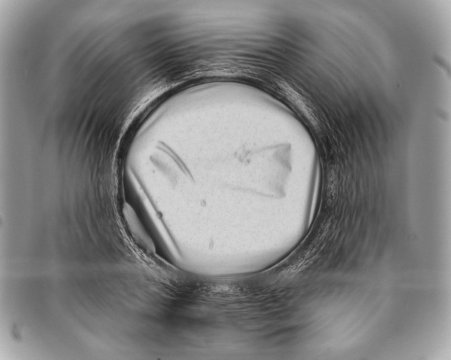 X0000096130787200802081324