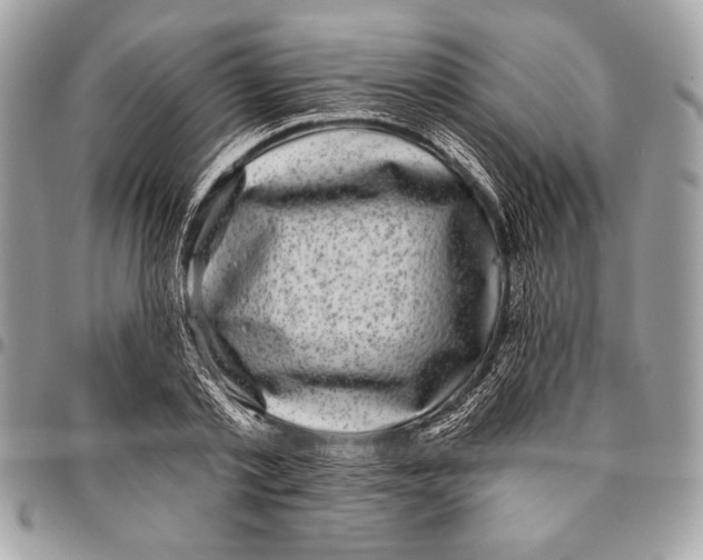 X0000096130789200802081324
