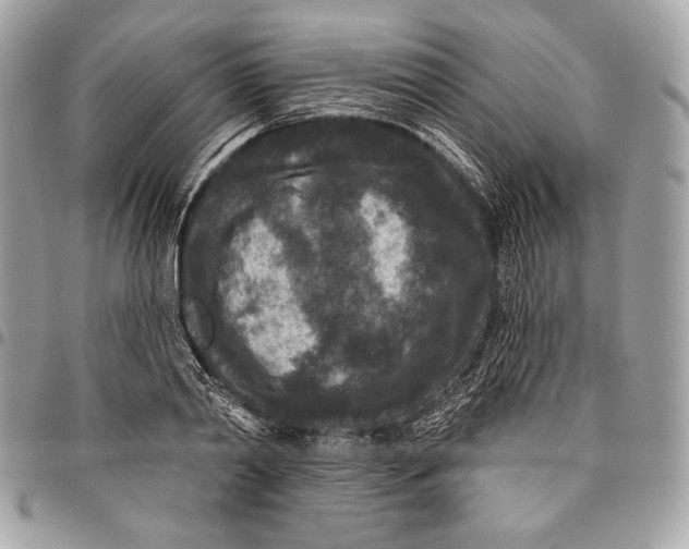 X0000096130790200802081324