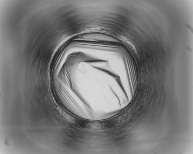 X0000096130792200802081324