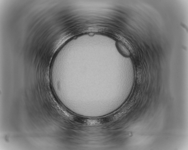 X0000096130794200802081324