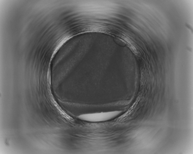 X0000096130796200802081324