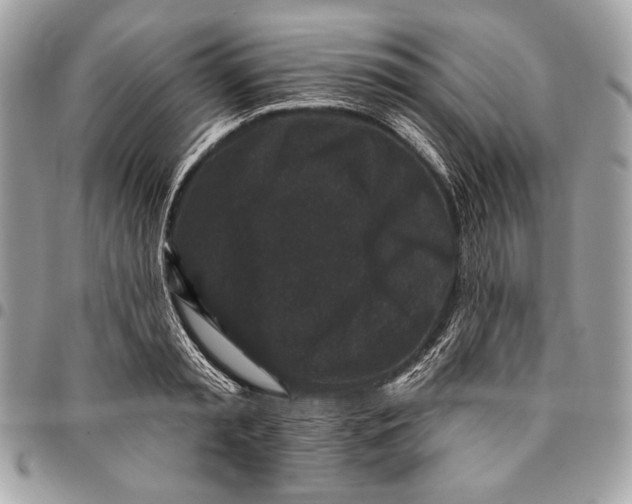 X0000096130797200802081324