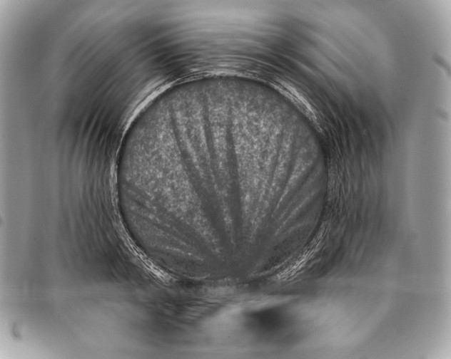 X0000096130798200802081324