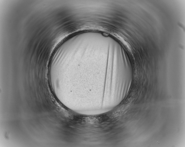 X0000096130799200802081324