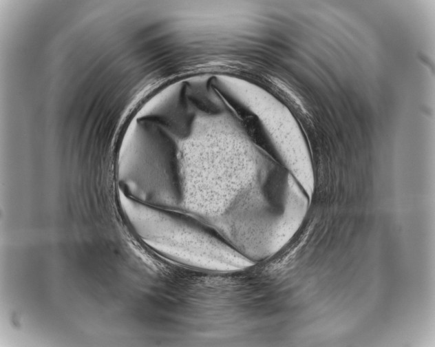 X0000096130800200802081324