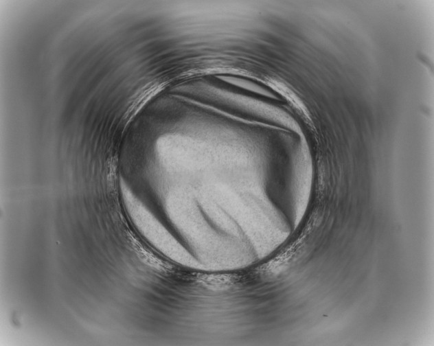 X0000096130801200802081324