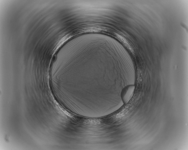 X0000096130802200802081324