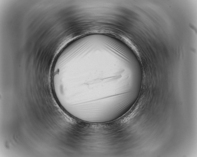 X0000096130803200802081324