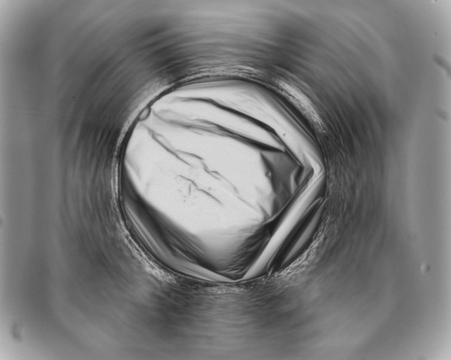 X0000096130804200802081324