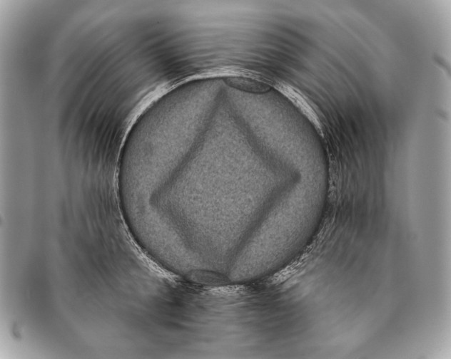 X0000096130805200802081324