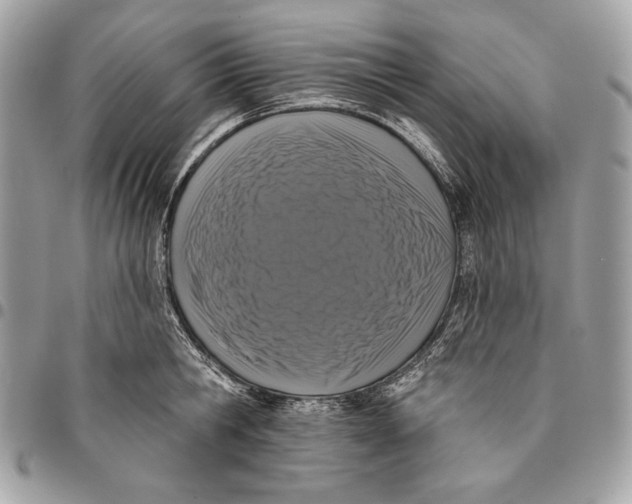 X0000096130806200802081324