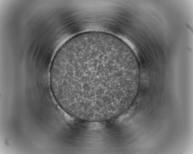 X0000096130807200802081324