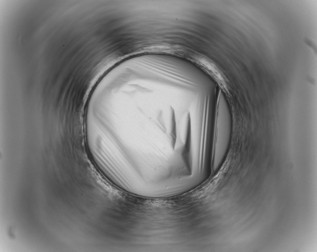 X0000096130808200802081324