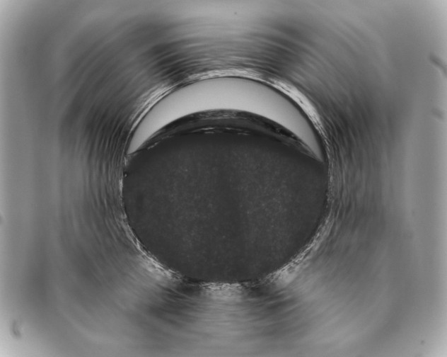 X0000096130809200802081324