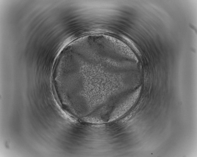 X0000096130810200802081324