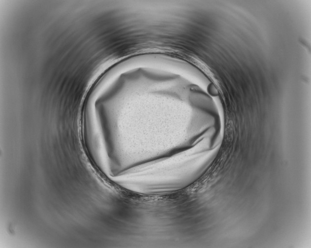 X0000096130811200802081324