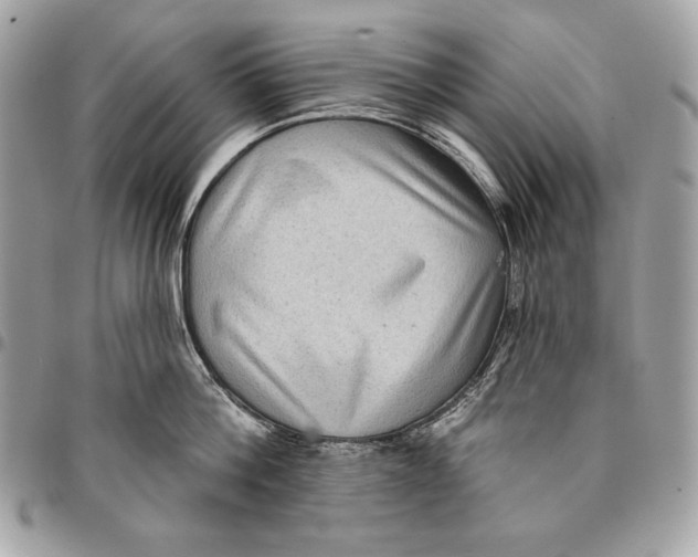 X0000096130812200802081324