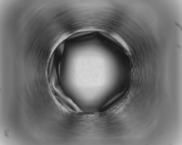X0000096130813200802081324