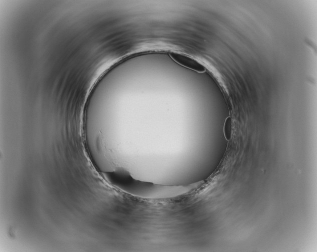 X0000096130815200802081324