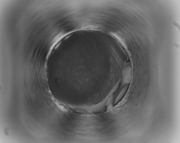 X0000096130816200802081324