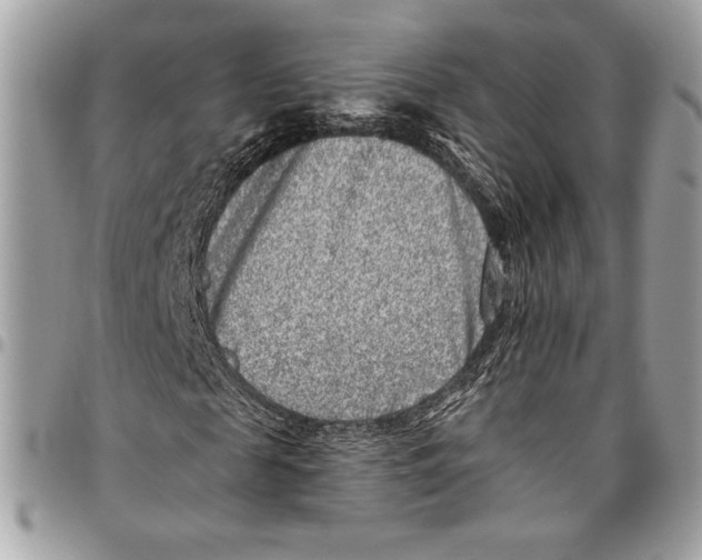 X0000096130817200802081323