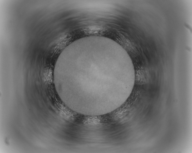 X0000096130820200802081323