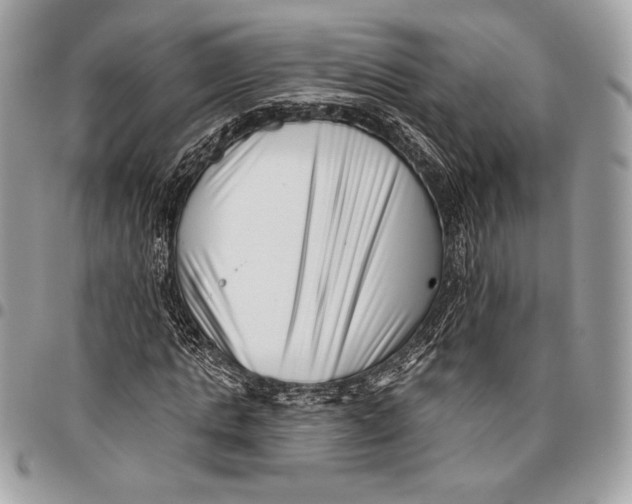 X0000096130821200802081323