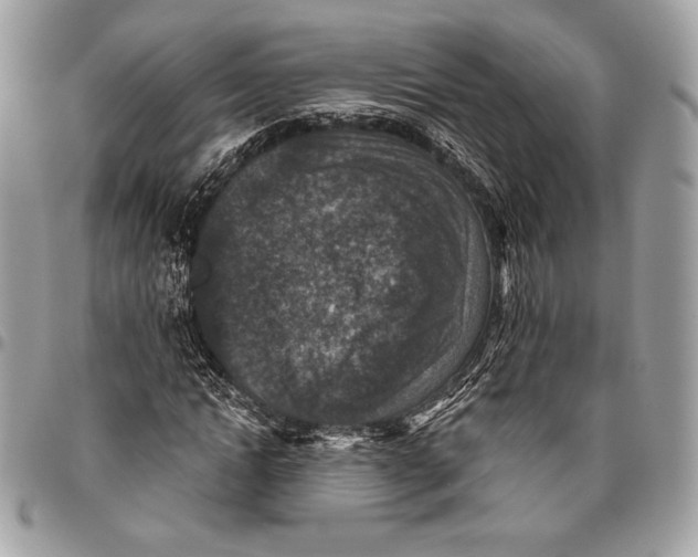 X0000096130822200802081323