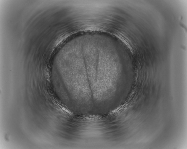 X0000096130823200802081323