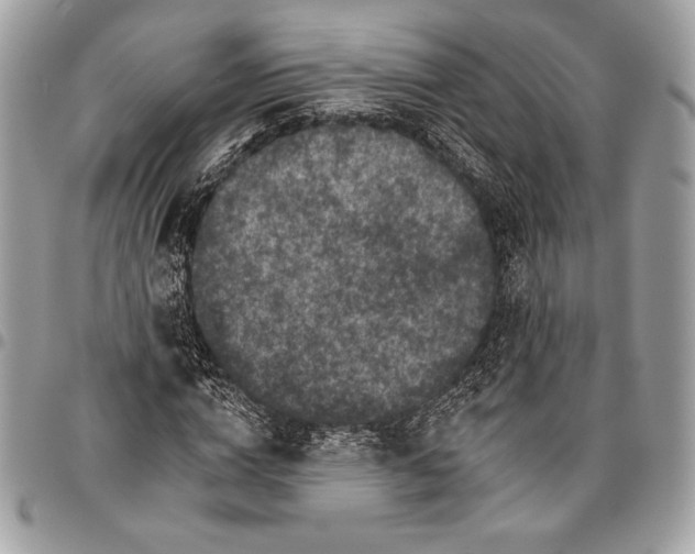 X0000096130824200802081323