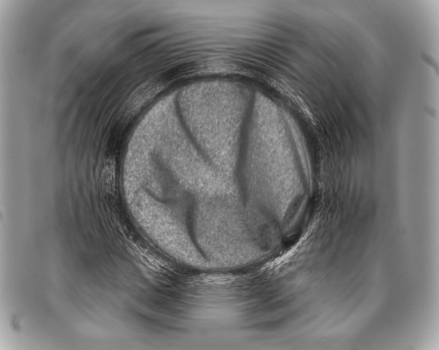 X0000096130825200802081323