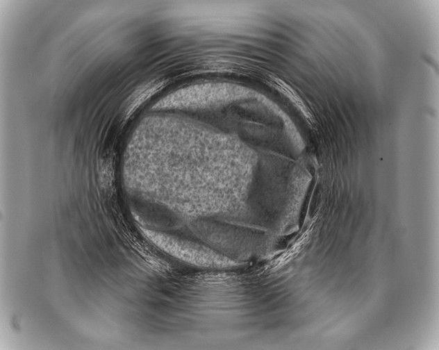 X0000096130826200802081323